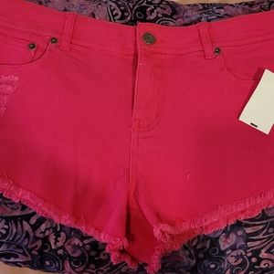 New! Pink Shorts Medium